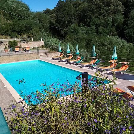 Borgo Di Alica Villa Palaia Eksteriør billede